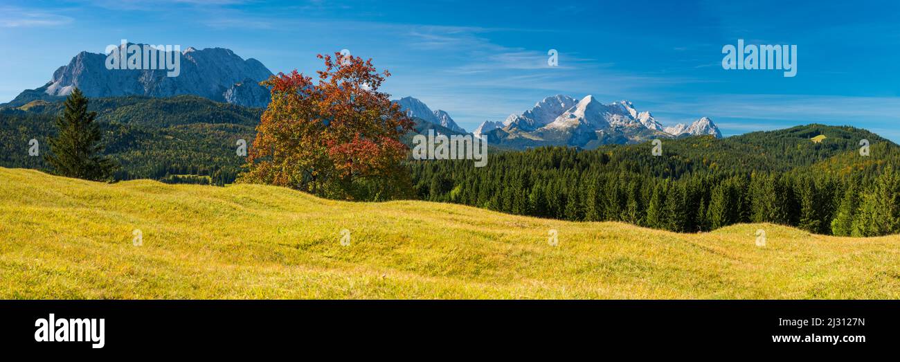 Buckelwiesen between Mittenwald and Krün, Werdenfelser Land, behind it the Zugspitze, 2962m, Wetterstein Mountains, Upper Bavaria, Bavaria, Europe Stock Photo