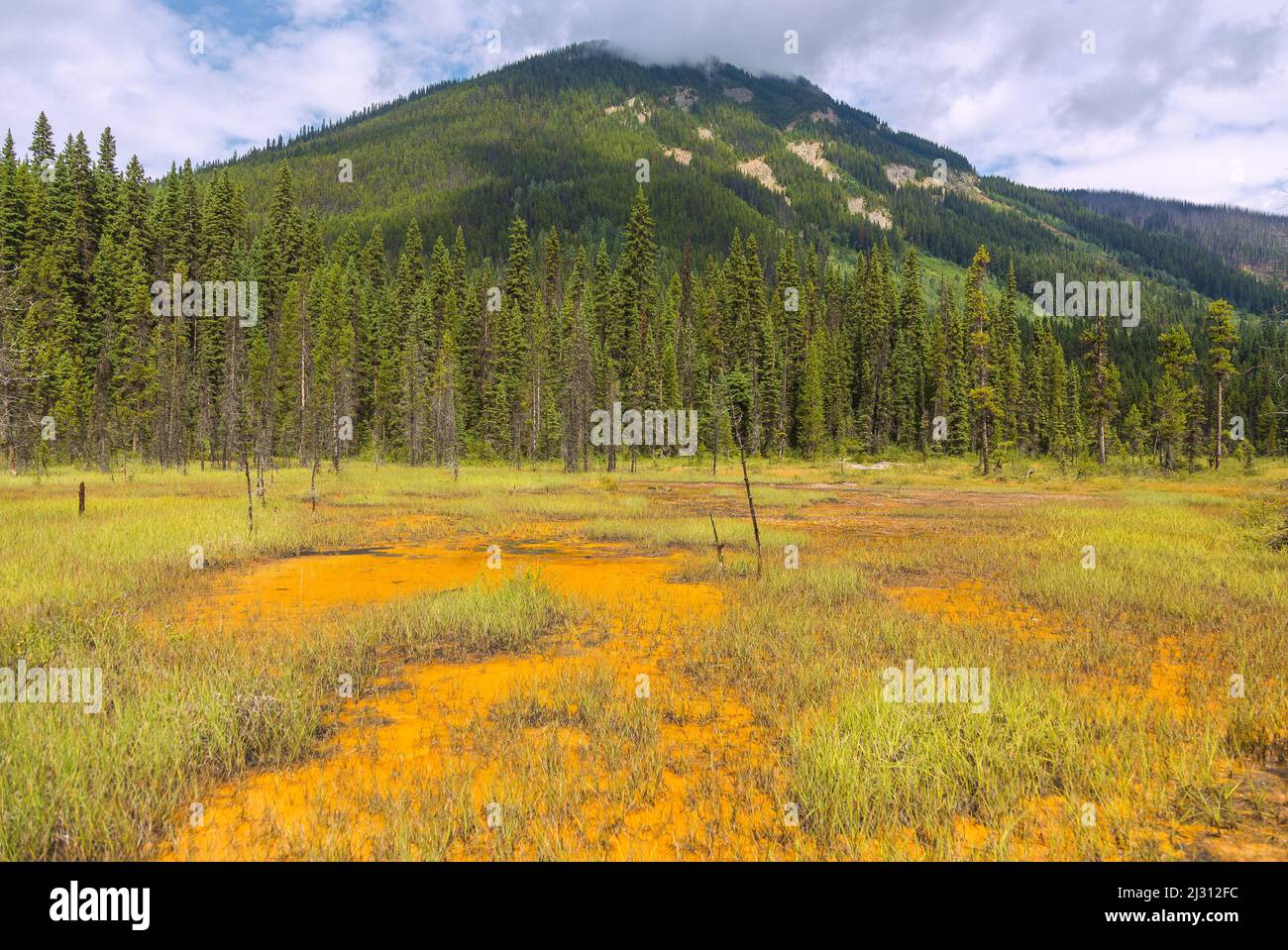 Kootenay National Park, Paint Pots Stock Photo Alamy