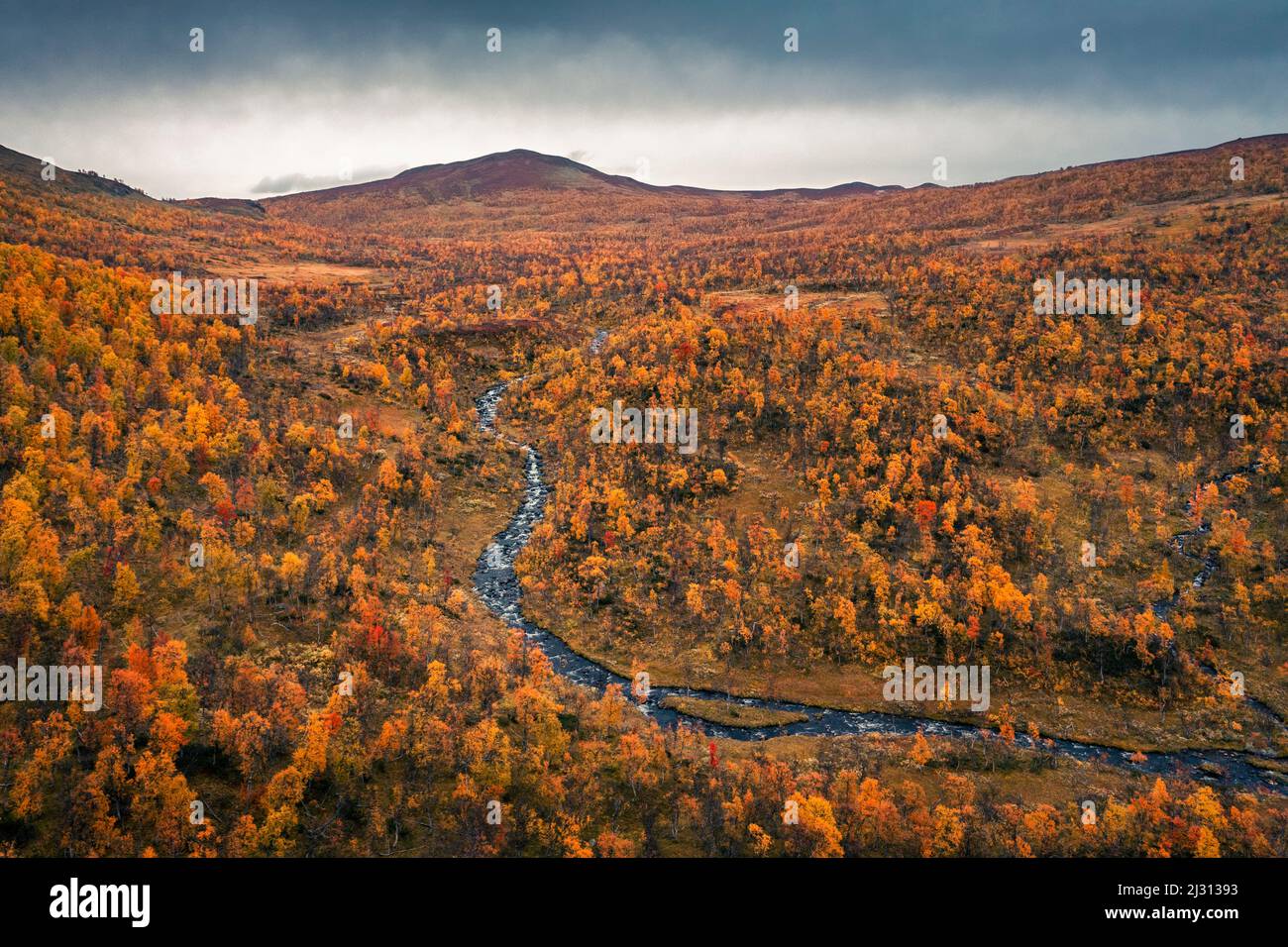 River and mountains along the Wilderness Road with trees in autumn in Jämtland in Sweden from above Stock Photo