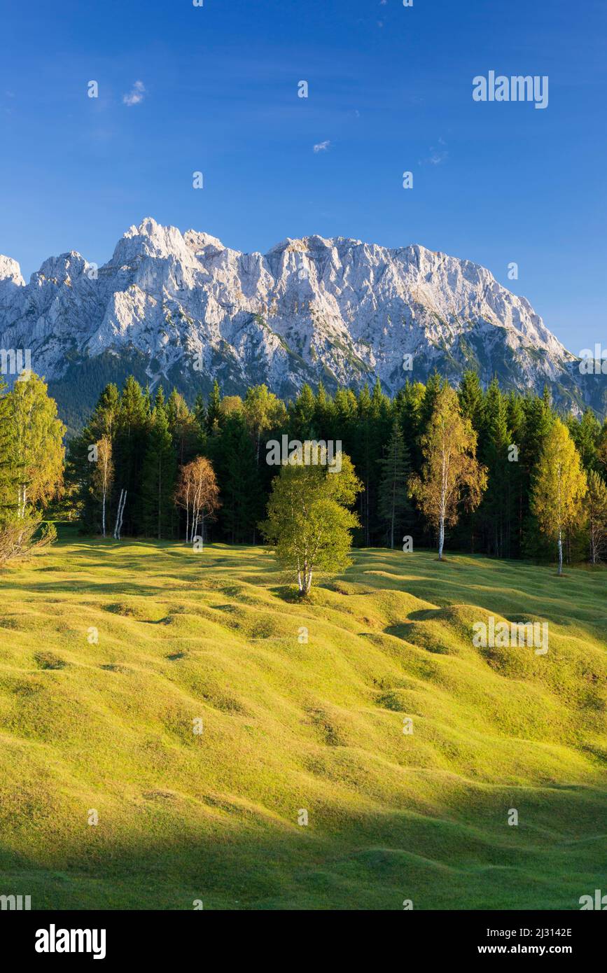 Buckelwiesen between Mittenwald and Krün, Werdenfelser Land, behind them the Karwendel Mountains, Upper Bavaria, Bavaria, Europe Stock Photo