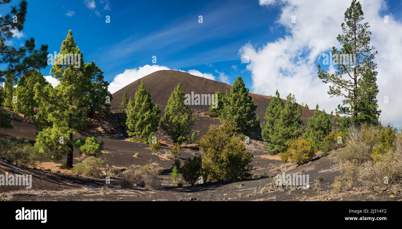 Arena Negras, Teide National Park, Tenerife, Canary Islands, Spain, Europe Stock Photo