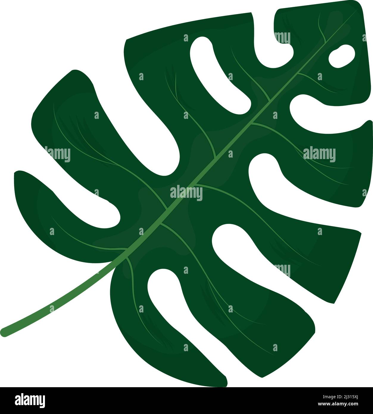 monstera leaf icon Stock Vector Image & Art - Alamy