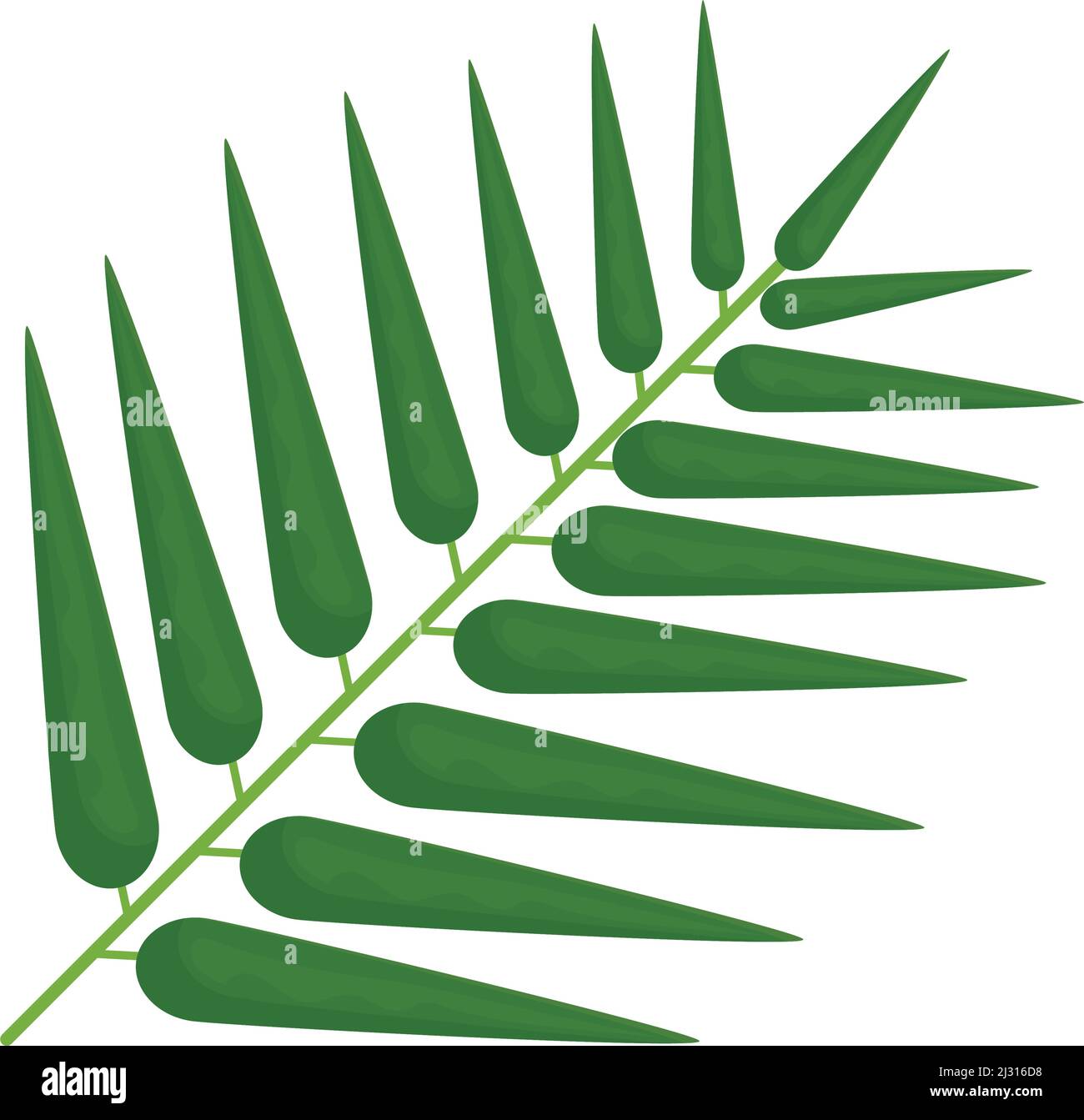 palm leaf icon Stock Vector Image & Art - Alamy