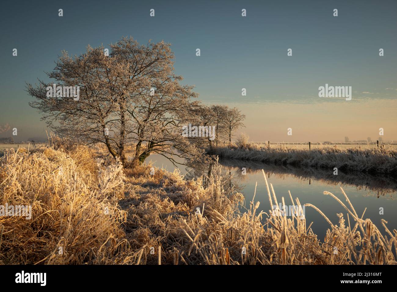 The Friedeburger Deep in frost in the sunlight, Etzel, East Friesland, Lower Saxony, Germany, Europe Stock Photo