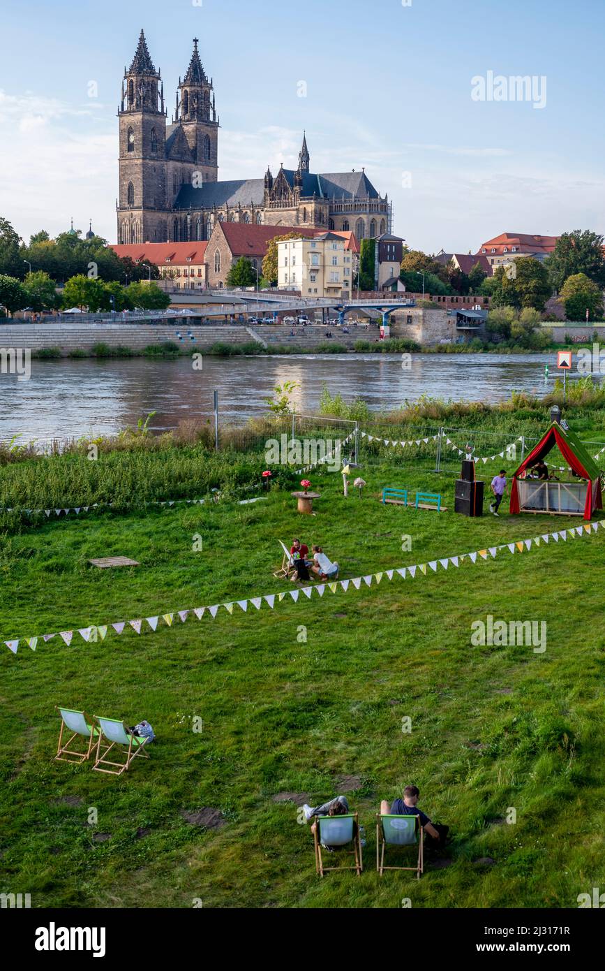 Young people sit on the Elbe in deck chairs, behind them Magdeburg Cathedral, Saxony-Anhalt, Germany Stock Photo