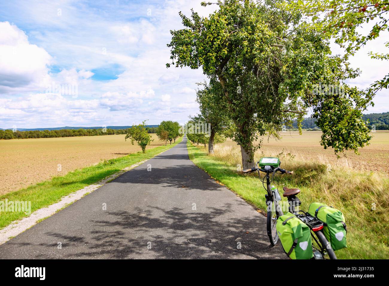 Werra bike path, avenue, bike near Dankmarshausen Stock Photo