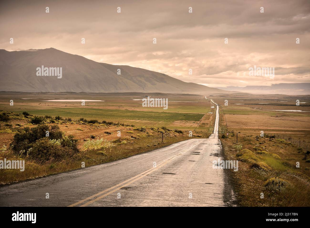 Endless road through the Patagonian steppe landscape, Patagonia, Chile, South America Stock Photo
