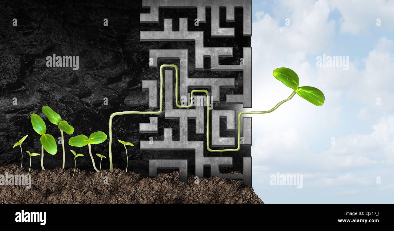 Leadership success power and succeeding metaphor as a leader concept with a seedling solving a puzzle maze to find the source of light and freedom in Stock Photo