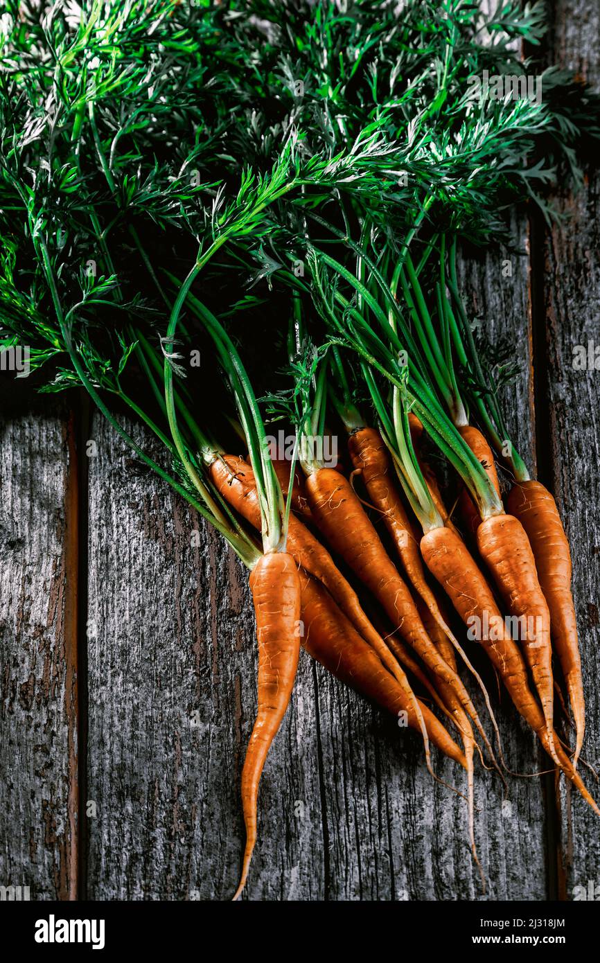 frische Karotten auf rustikalem Holzuntergrund Stock Photo