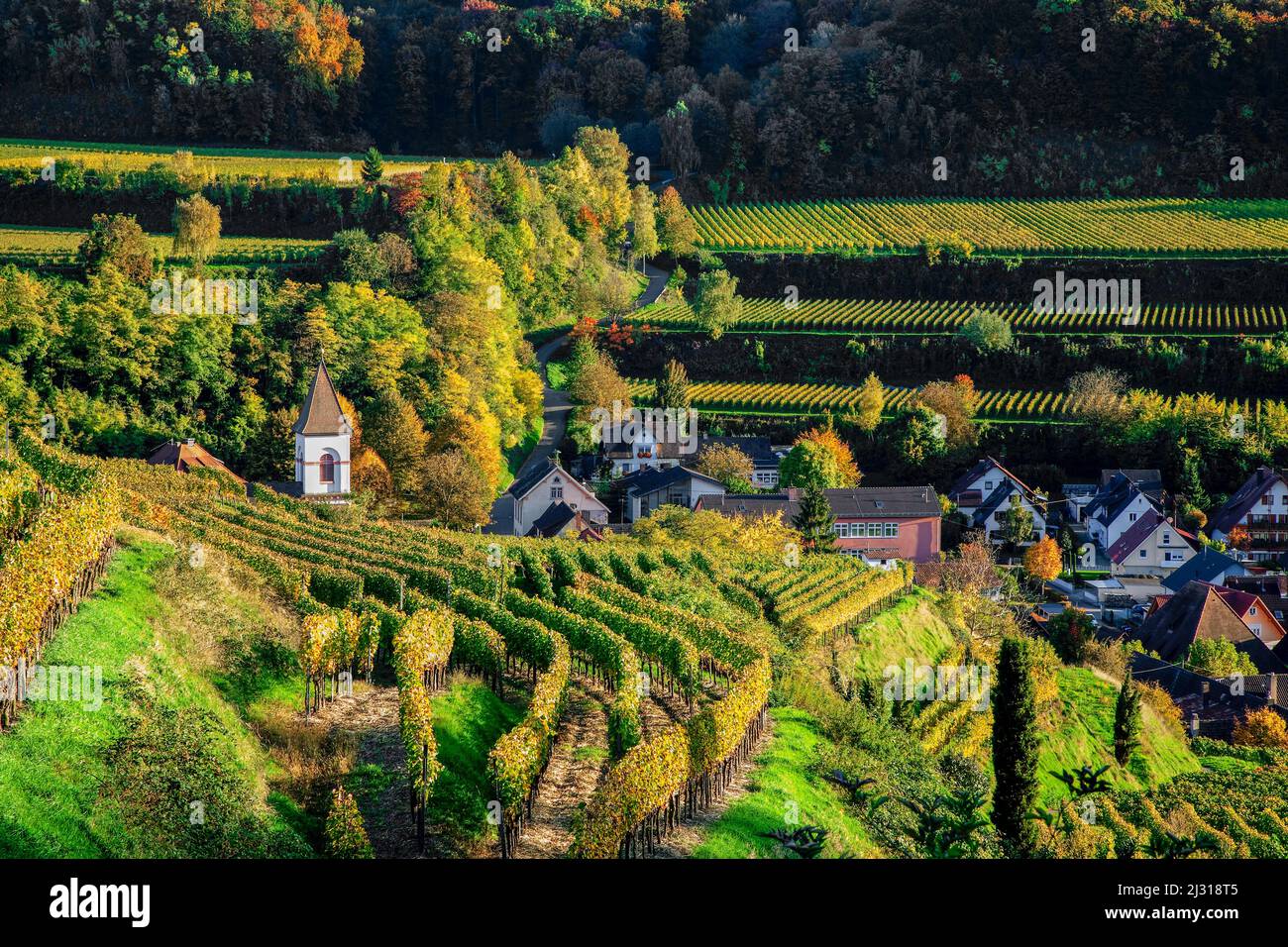 Achkarren im Herbst, Kaiserstuhl, Baden-Württemberg Stock Photo