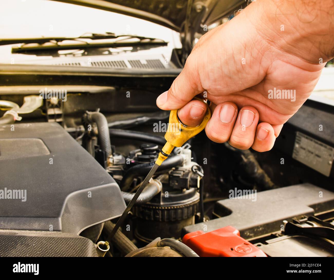 Mechanic hand pulling up oil dipstick of the car engine for checking oil level Stock Photo Alamy