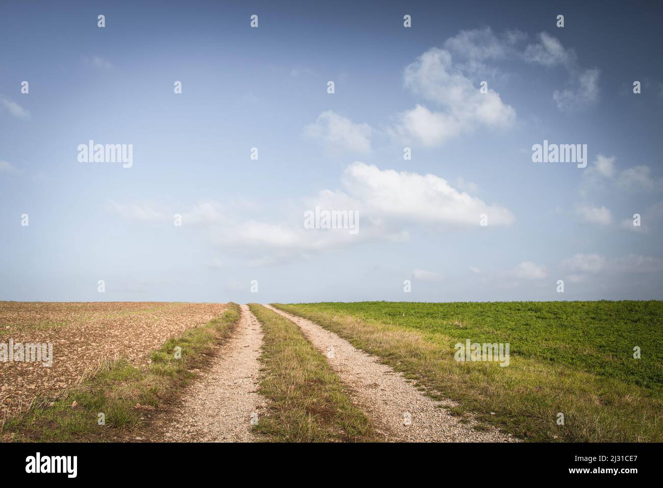 Dirt road under a blue sky with clouds near Fladungen, Rhoen, Bavaria, Germany, Europe Stock Photo