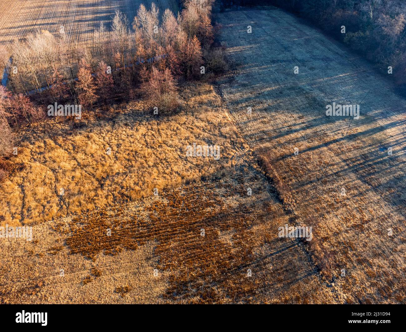 Parks and protected areas on the morainic hills of central Friuli Stock ...