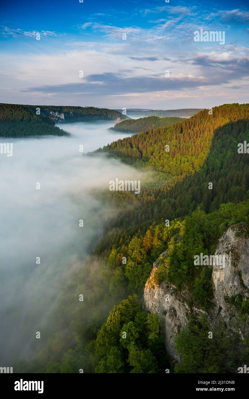 View from Eichfelsen with morning mist, sunrise, near Irndorf, Obere Donau Nature Park, Upper Danube Valley, Danube, Swabian Alb, Baden-Württemberg, Germany Stock Photo