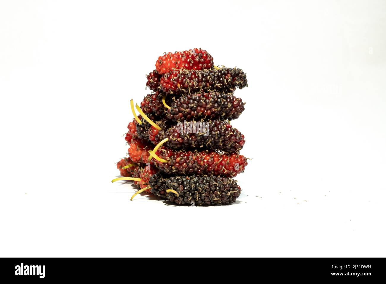Mulberry fruit is very large, very sweet, very juicy, and super flavourful. They're an excellent alternative to dates or figs and they are full-flavor Stock Photo