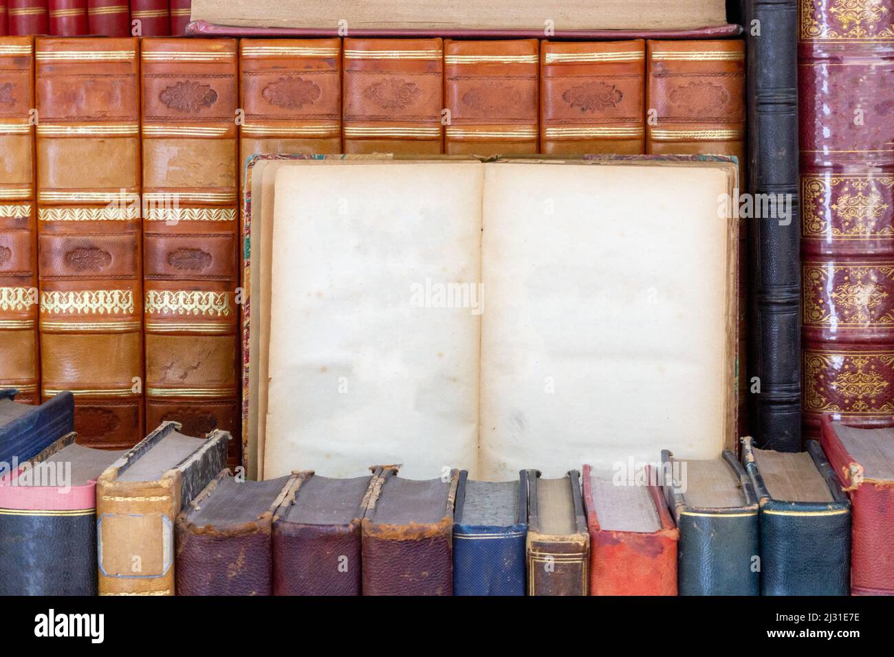 Open Book in Library with Plenty of Copy Space for Text or Graphics Stock Photo