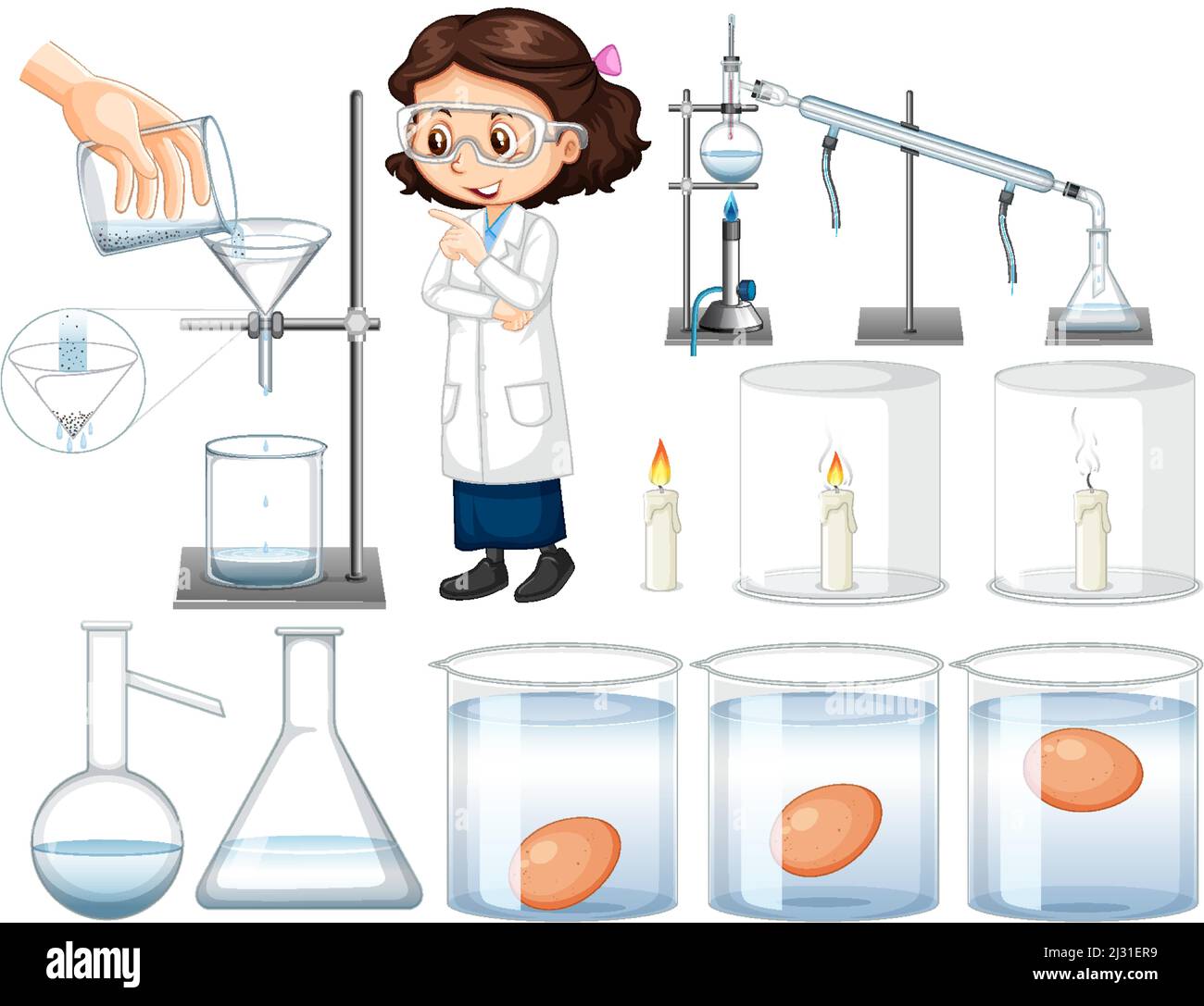 Science Experiment with test eggs for freshness illustration Stock ...
