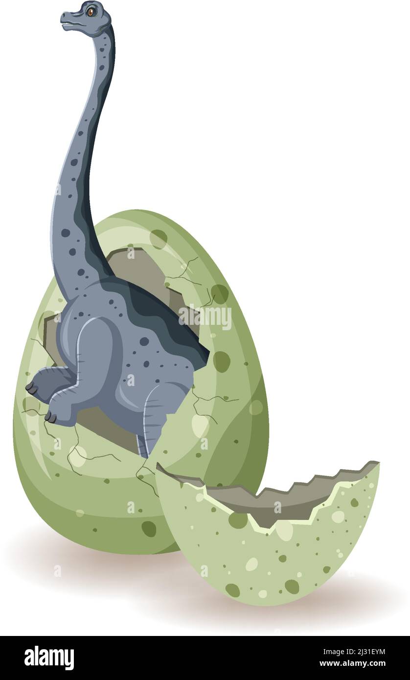 Free Vector  Pterosaur hatching from egg