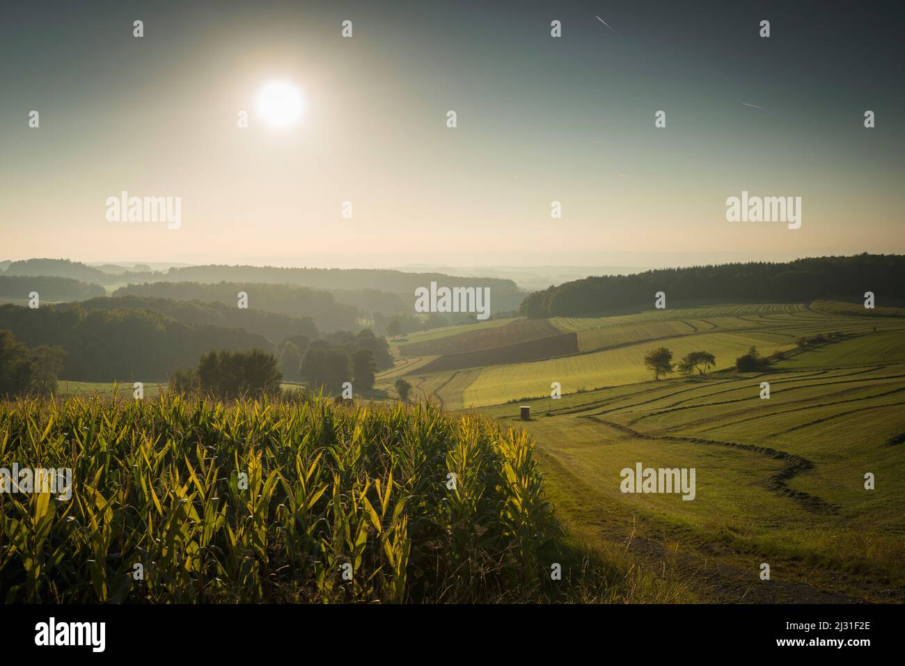 Fields near Hofbieber, Rhoen, Fulda, Hesse, Germany, Europe Stock Photo