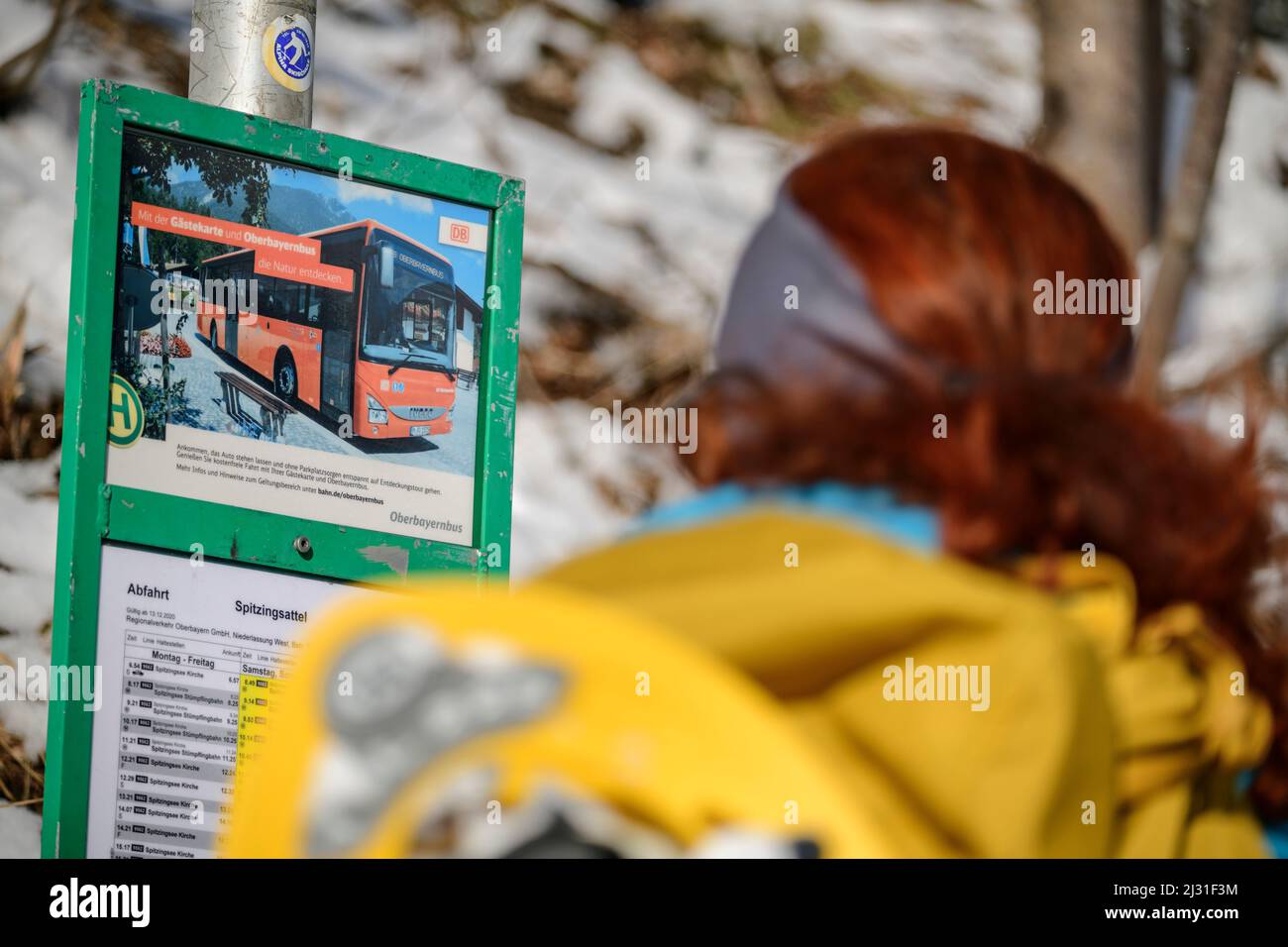 Woman while hiking with snowshoes on her backpack reads bus timetable, Spitzing area, Bavarian Alps, Upper Bavaria, Bavaria, Germany Stock Photo