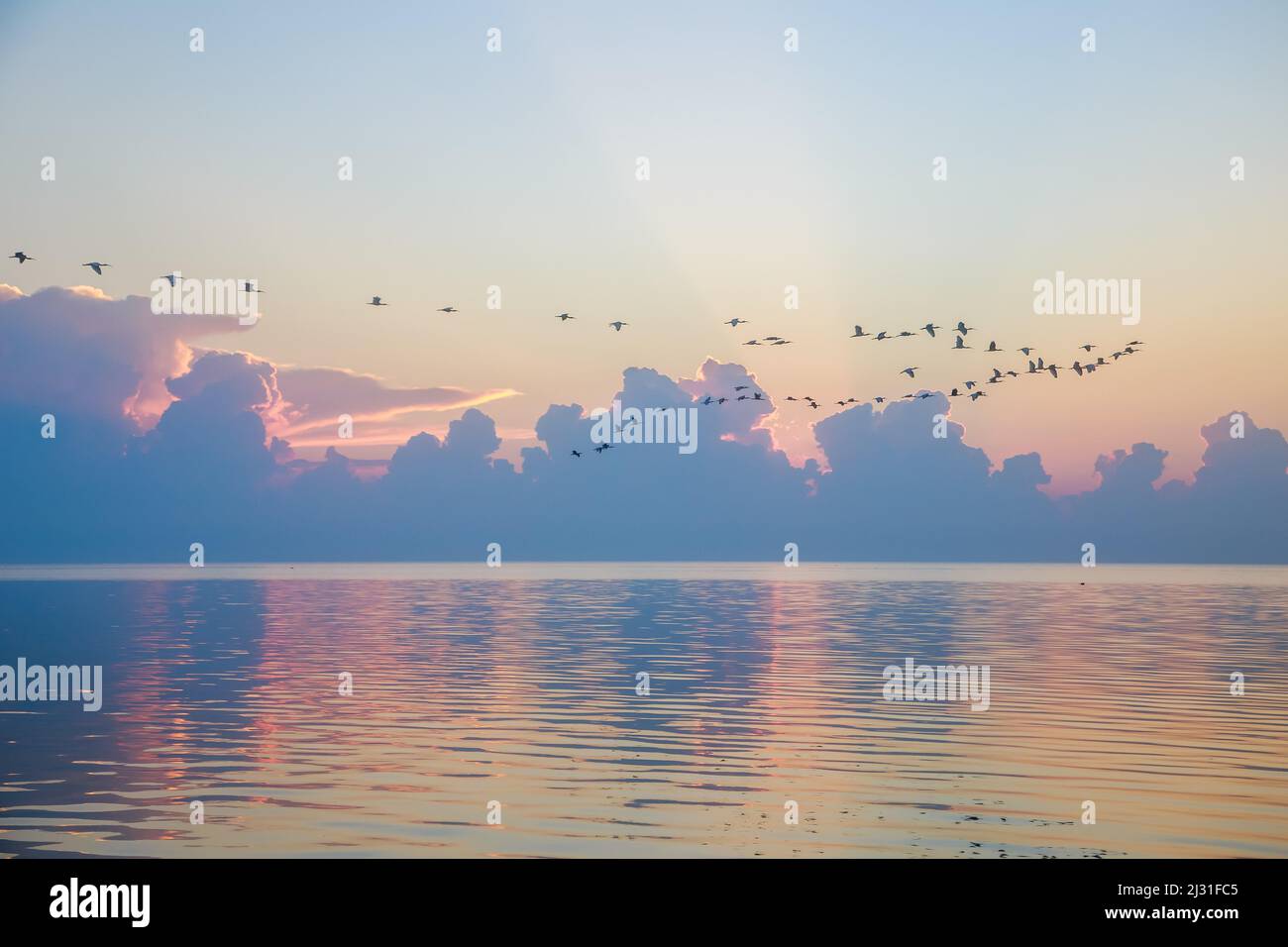 The beautiful sunset reflecting on the sea in Miami Stock Photo - Alamy