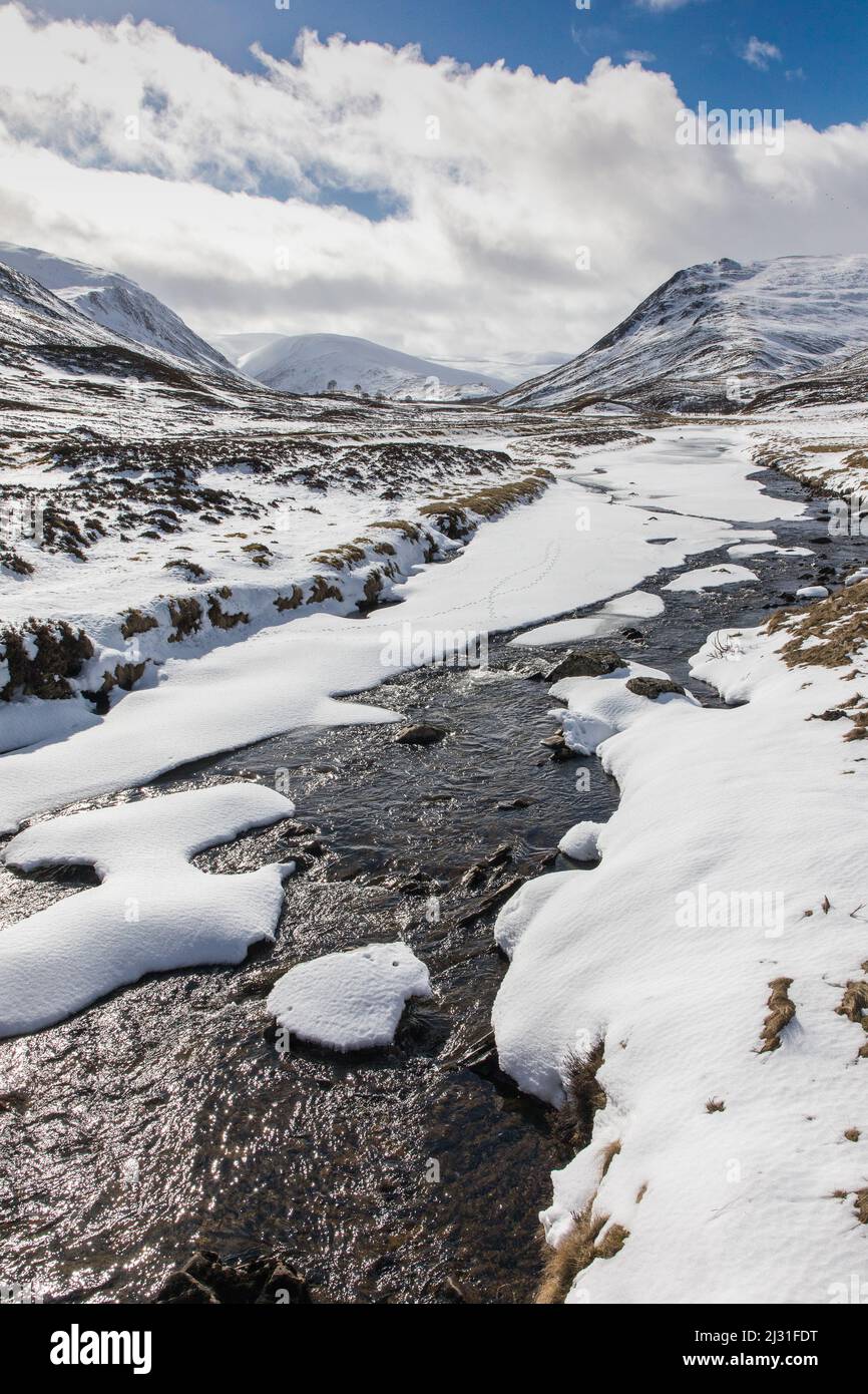 Glen Clunie in the snow, winter Royal Deeside, Braemar, Aberdeenshire, Scotland, UK Stock Photo