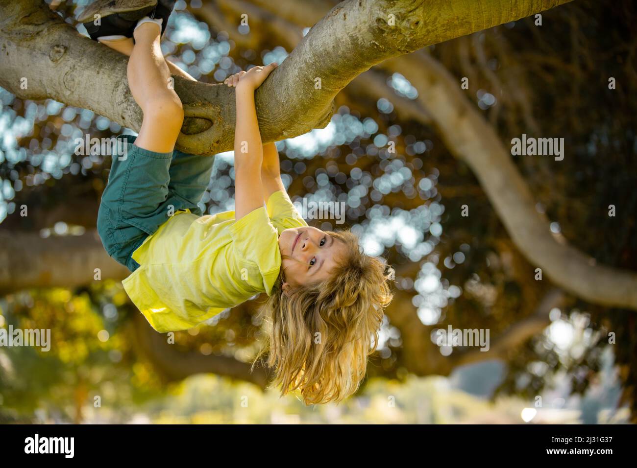 Happy kids climbing up tree and having fun in summer park. Kids climbing trees, hanging upside down on a tree in a park. Child protection. Childhood Stock Photo