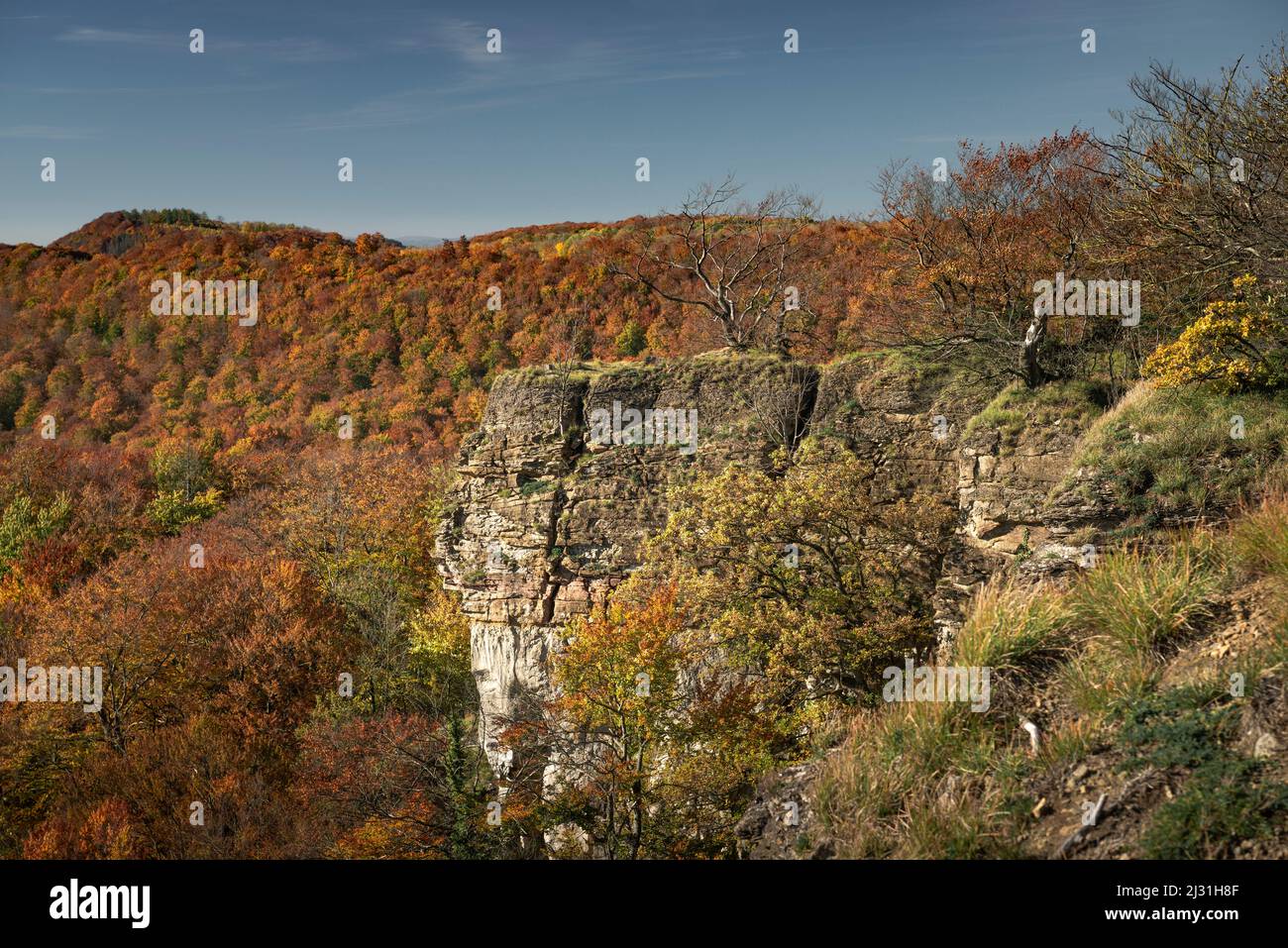 Cliffs of the Hohenstein, Weserbergland, Hessisch Oldendorf, Lower Saxony, Germany, Europe Stock Photo