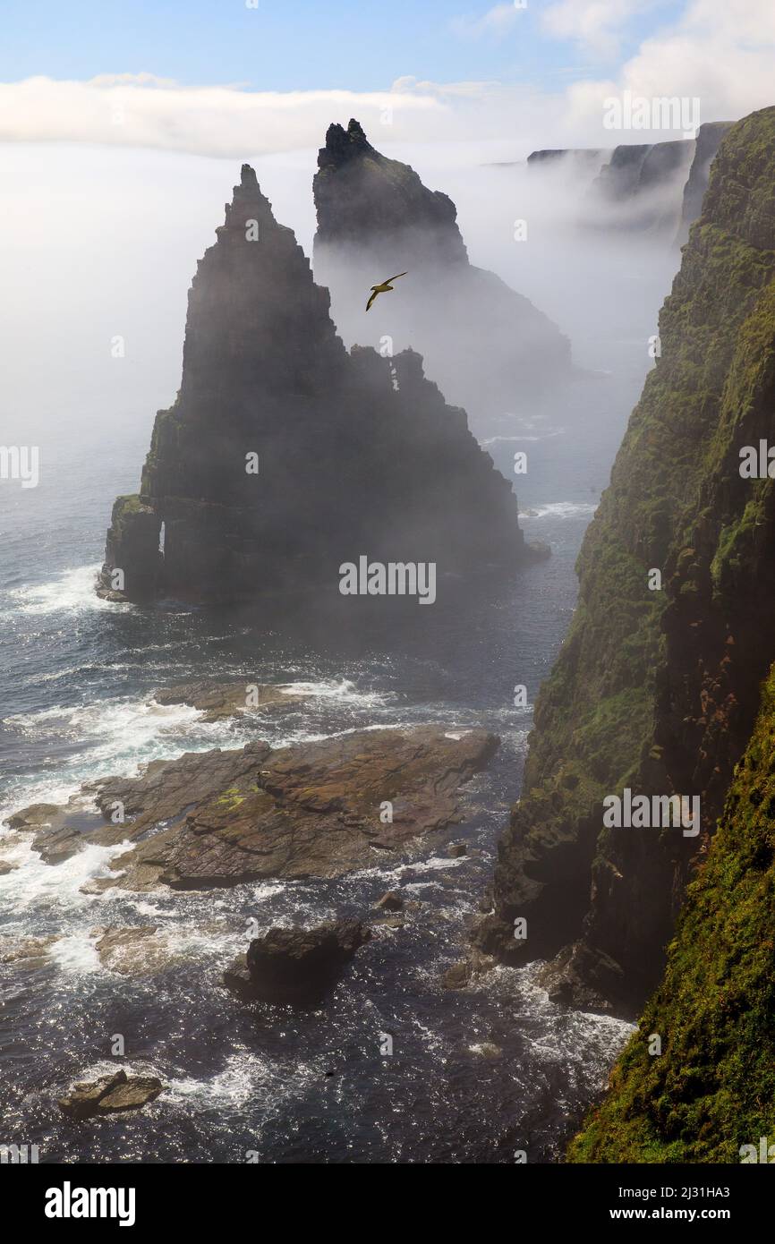 Duncansby Head, Sea Stacks in Sea Mist, Caithness, Highlands, Scotland UK Stock Photo