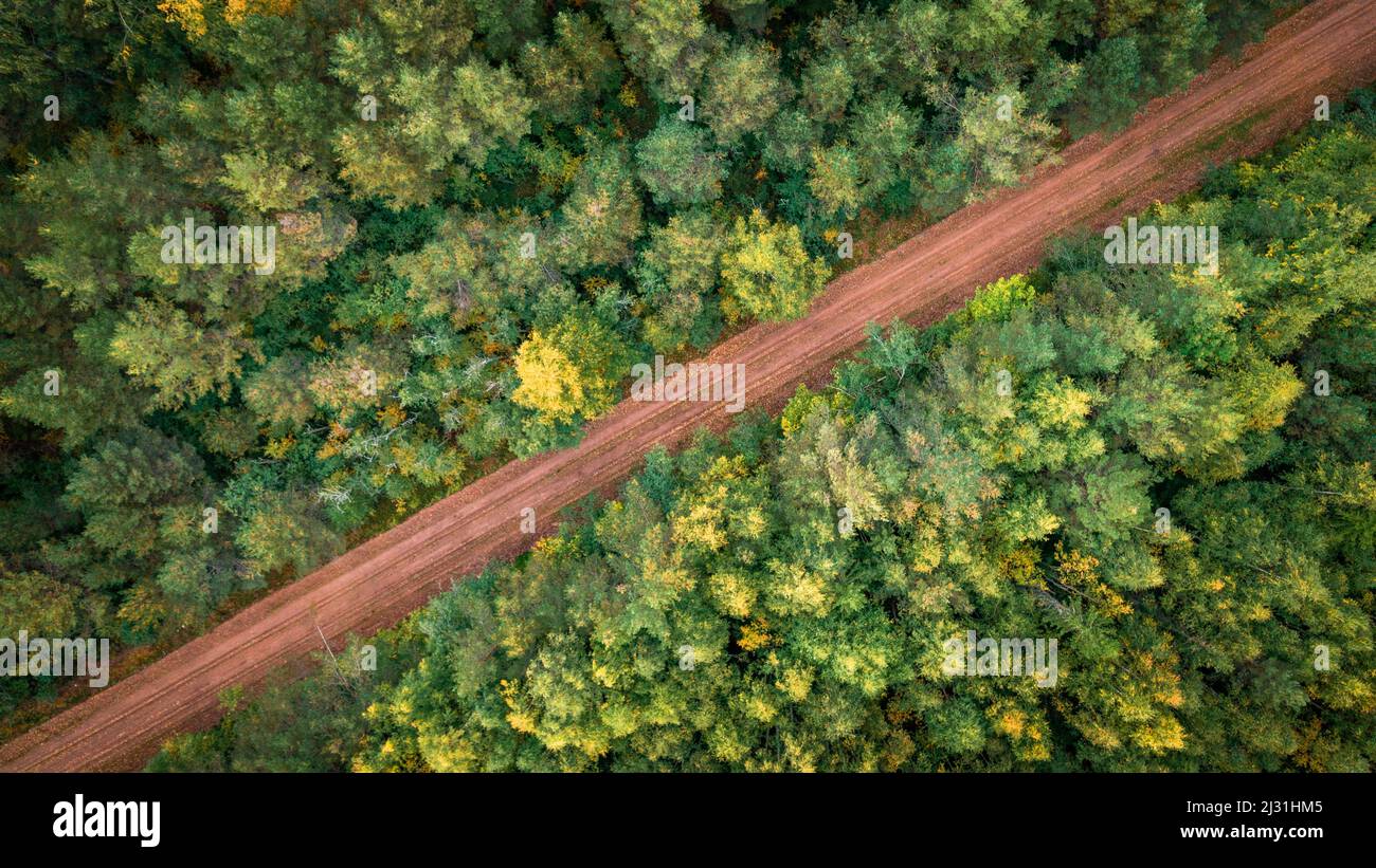 Forest and road at Lake Siljan from above in Dalarna, Sweden Stock Photo