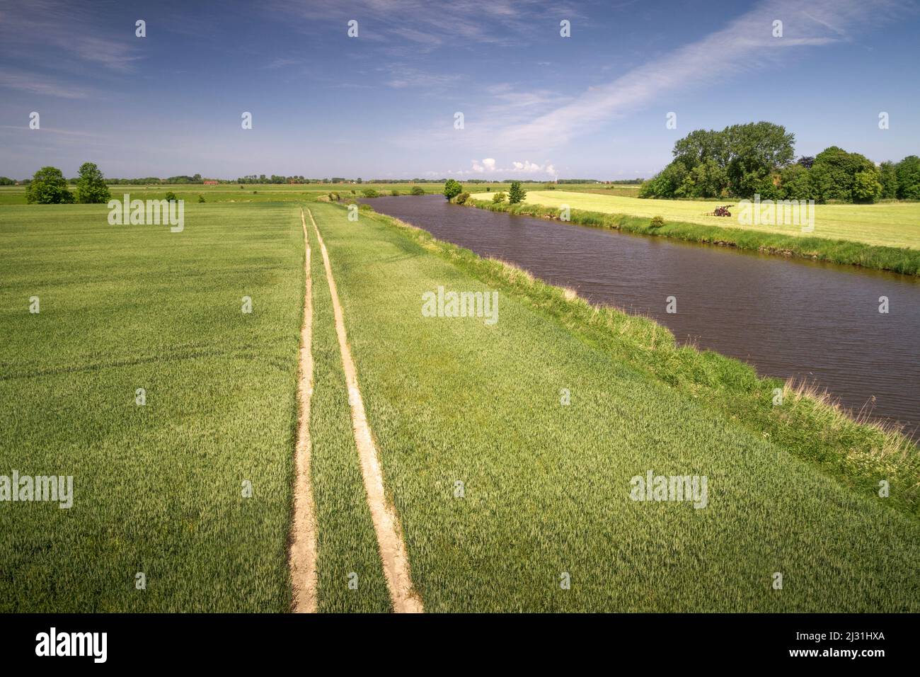 Fields at Crildumer Tief, Wangerland, Friesland, Lower Saxony, Germany, Europe Stock Photo