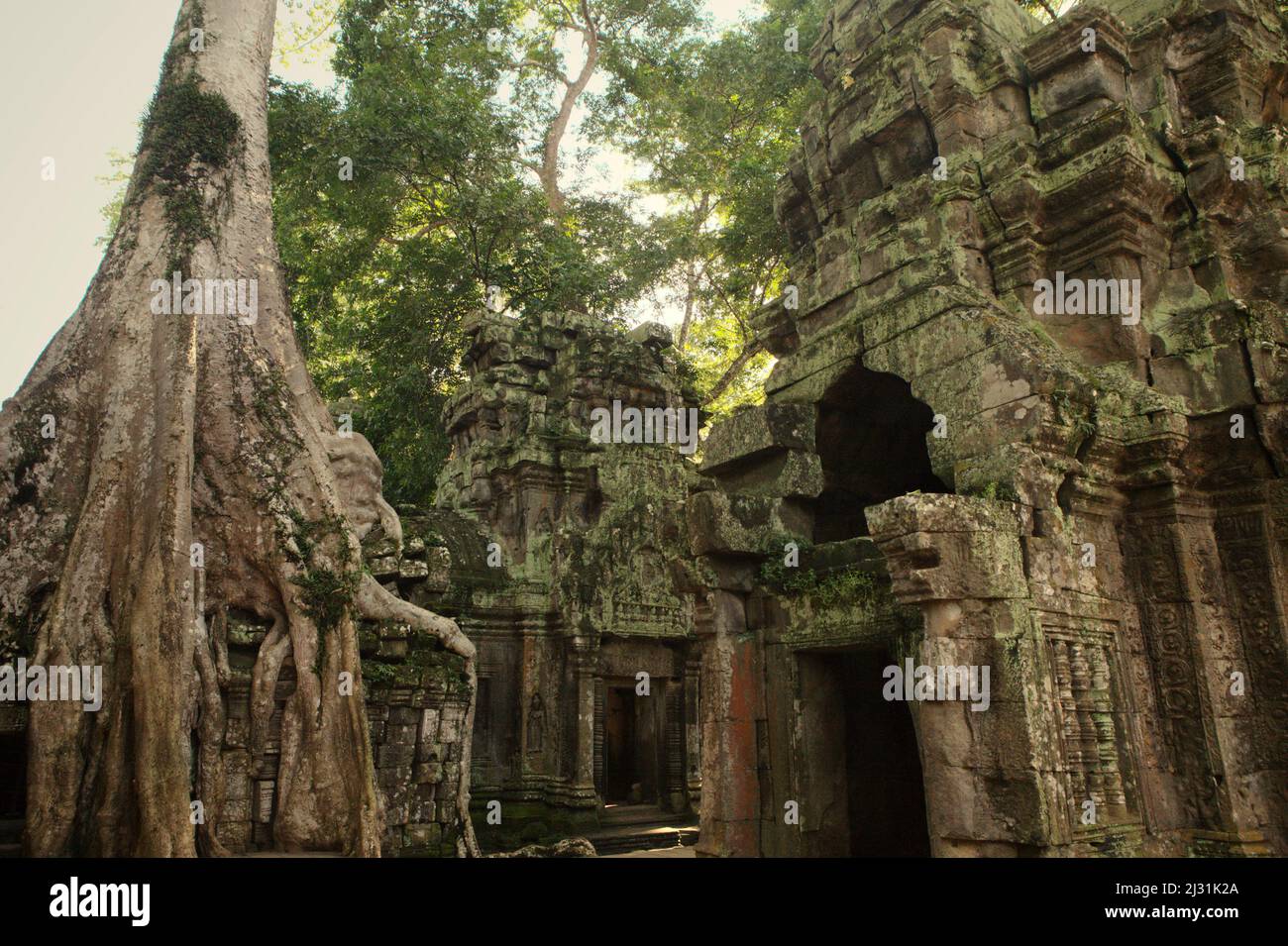 View of a corner at Ta Prohm temple compound in Siem Reap, Cambodia. Once used as a set for a 2001 Hollywood's movie Lara Croft: Tomb Raider starring Angelina Jolie, and best known for its giant roots of wild trees rooted deep between the stones, Ta Prohm was a monastery for Mahayana Buddhism students, before it was abandoned and forgotten for hundreds of years. Stock Photo