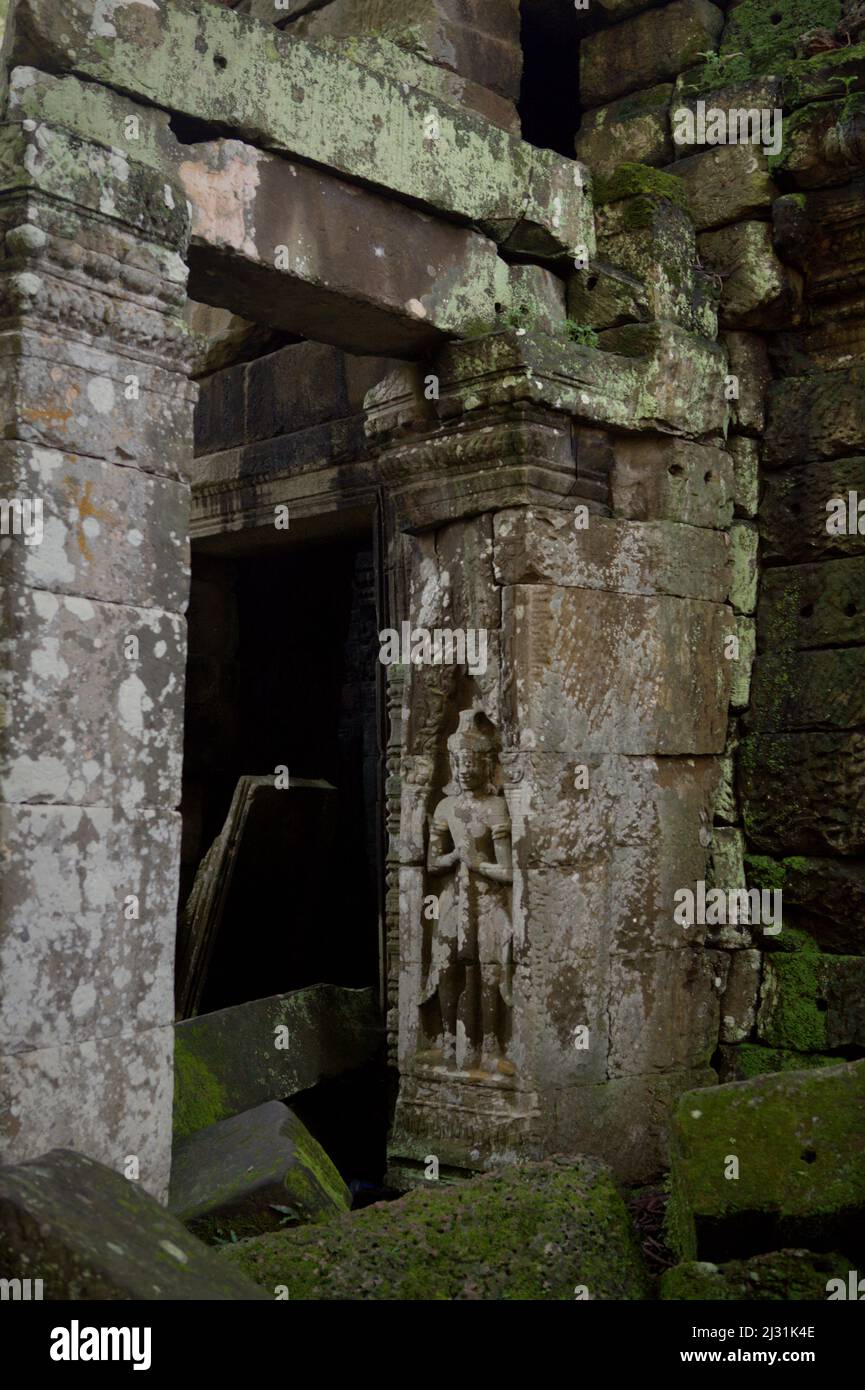 Apsara figure on a wall at Ta Prohm temple compound in Siem Reap, Cambodia. Once used as a set for a 2001 Hollywood's movie Lara Croft: Tomb Raider starring Angelina Jolie, and best known for its giant roots of wild trees rooted deep between the stones, Ta Prohm was a monastery for Mahayana Buddhism students, before it was abandoned and forgotten for hundreds of years. Stock Photo