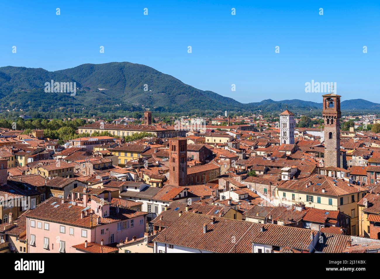 View from Torre Guinigi over Lucca, Province of Lucca, Toscana, Italy Stock Photo
