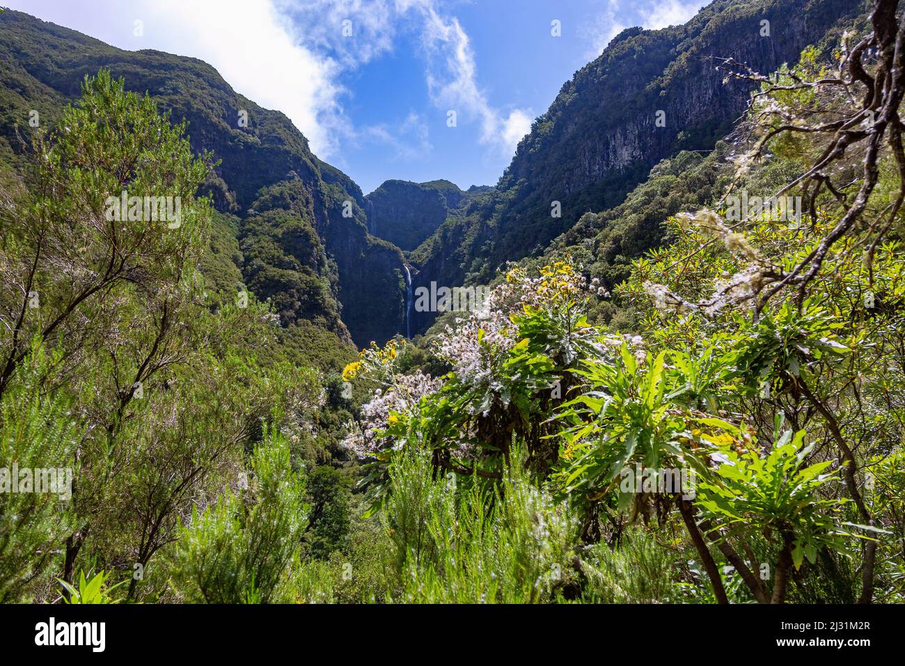 Levada do Risco, Cascata do Risco, waterfall Stock Photo