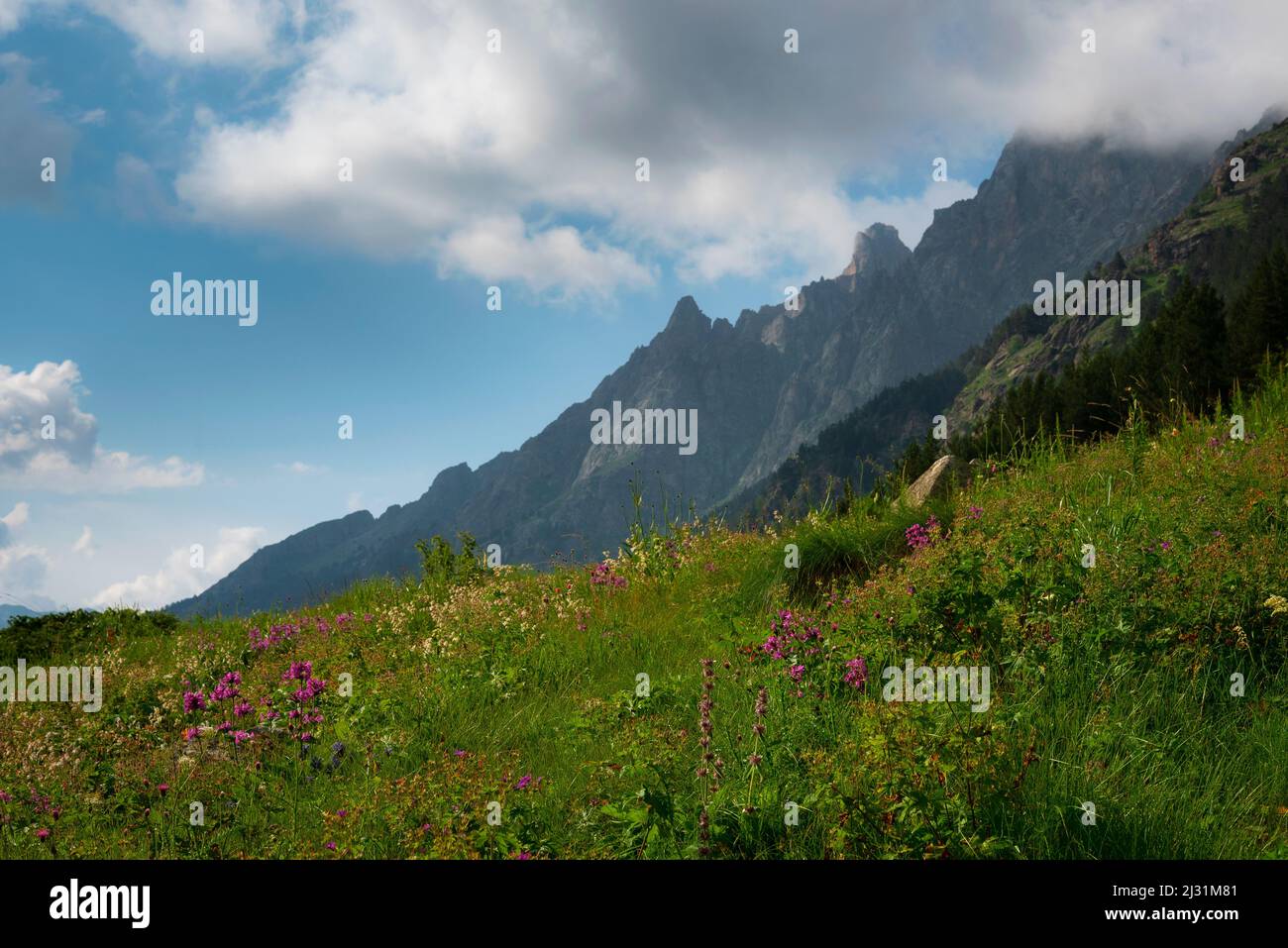 A beautiful alpine gorge of the Ullu-Murudzhu River with green meadows and mountain peaks in the Karachay-Cherkess Republic Stock Photo