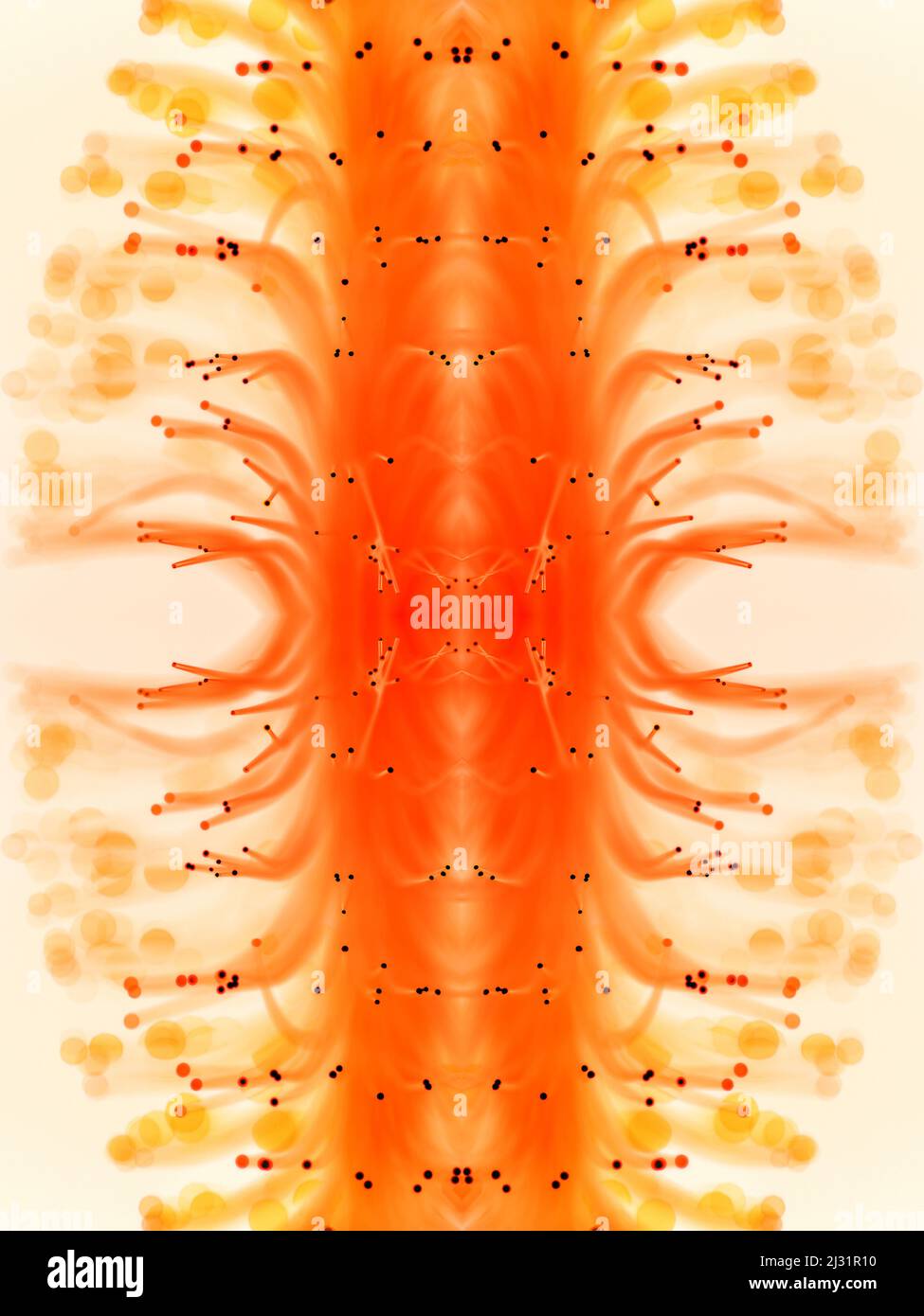 Orange fiber optic background. Shallow depth of field Stock Photo Alamy