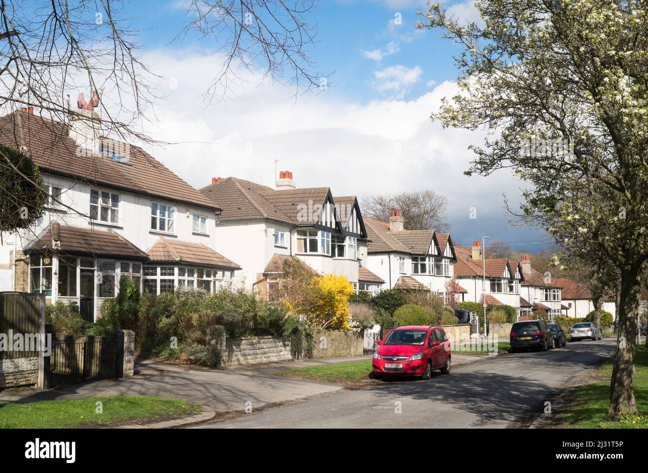 A row of semi detached houses along Fitzroy Drive in Roundhay, Leeds, Yorkshire, England, UK Stock Photo