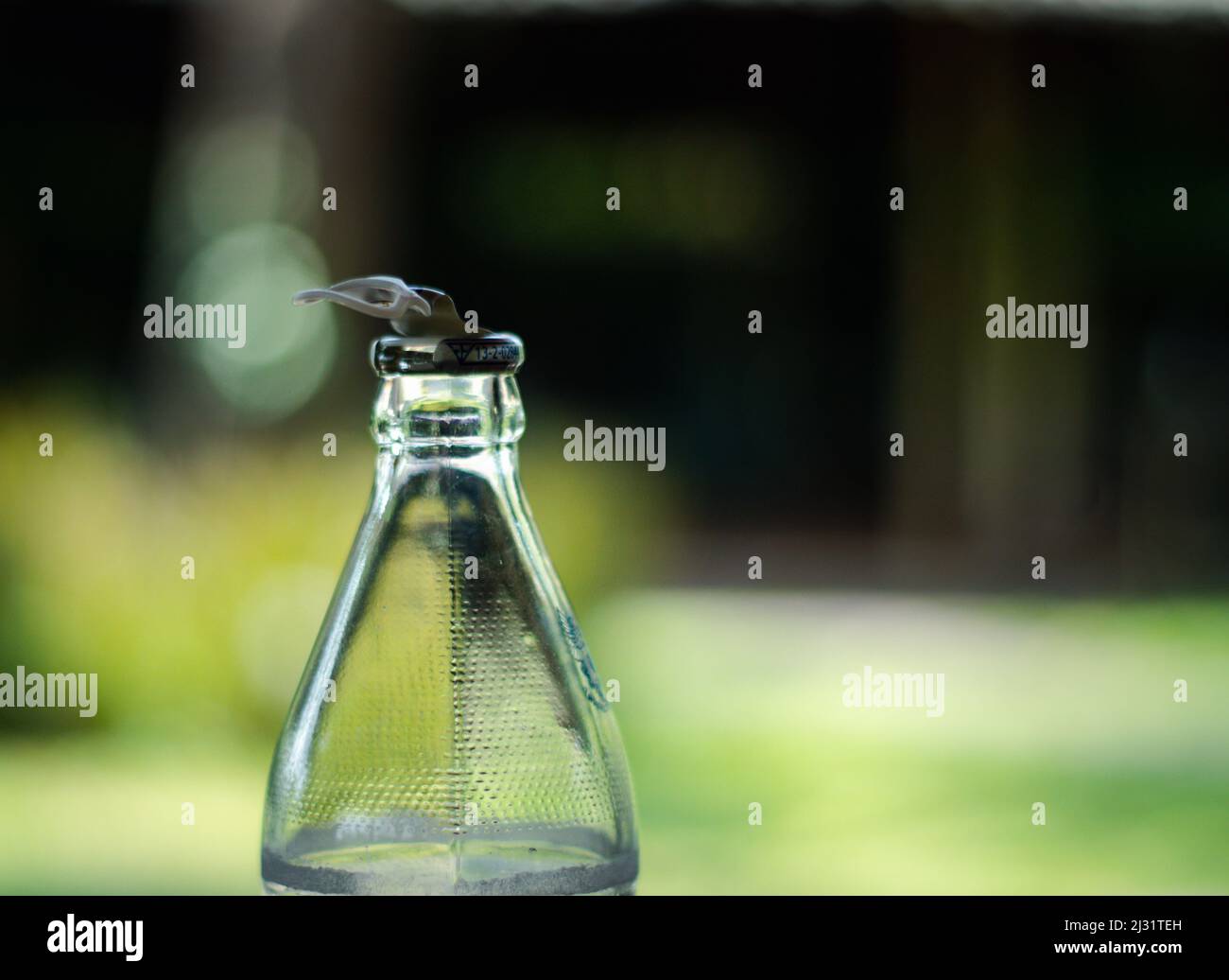 Close-up shot of a pull-open water bottle in the garden background. Stock Photo