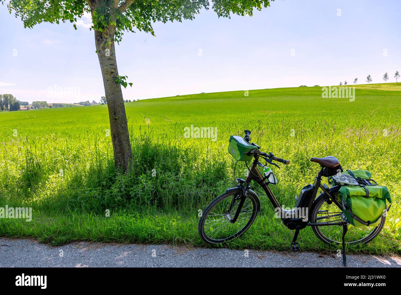 Vilstalradweg, bicycle, hilly landscape, green wheat field Stock Photo