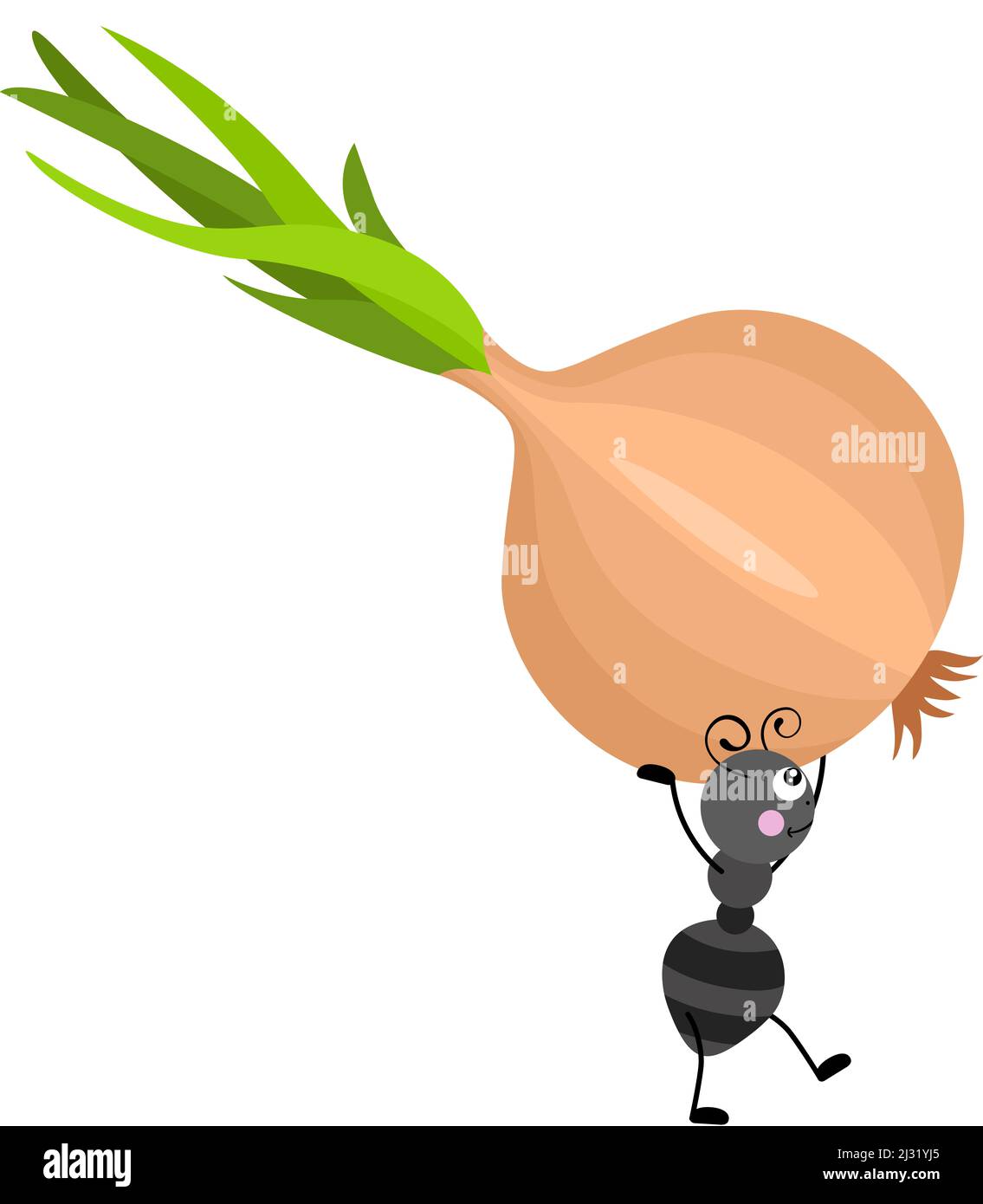 Cute ant carrying a fresh onion Stock Photo Alamy