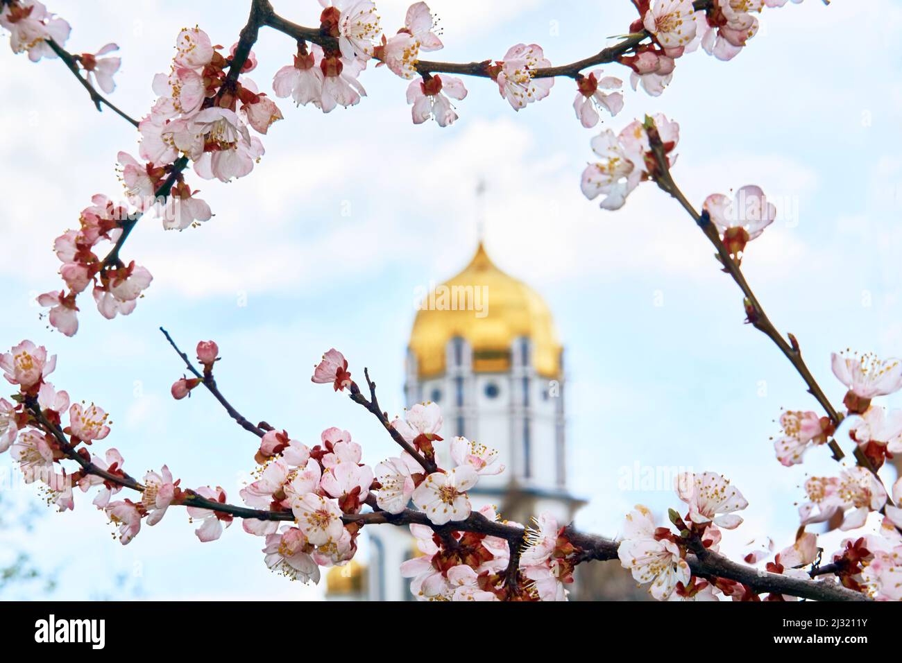 Frame of pink and white flowers and the golden dome of the church, easter sky Stock Photo