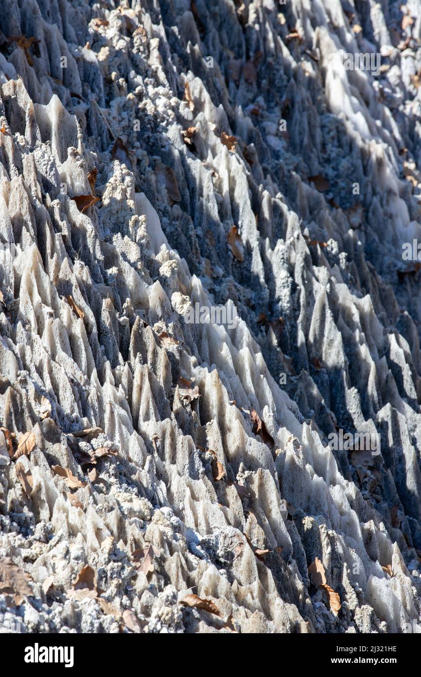 Salt Rocks Close Up A vertical close-up of the salt rock erosion Stock Photo - Alamy