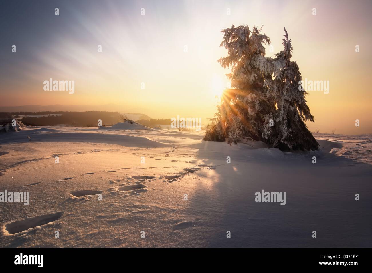 Sunset on the Wasserkuppe, Rhoen, Hesse, Germany Stock Photo