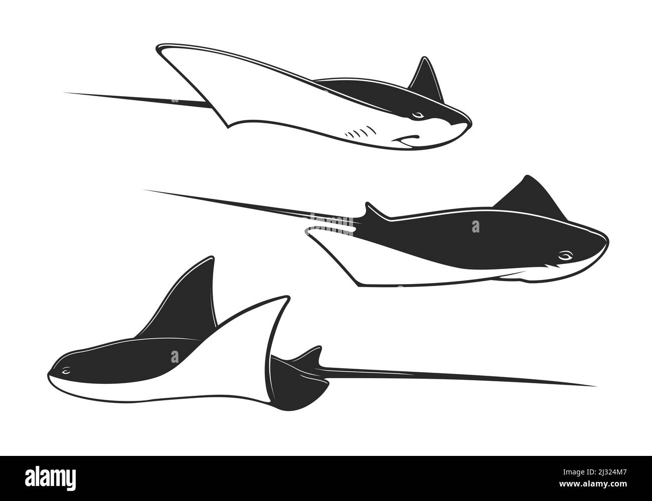 Manta ray, stingray and cramp fish underwater animals. Isolated ocean or sea vector fish, black and white rays with long stingers and tails, tropical marine water wildlife, zoo aquarium Stock Vector