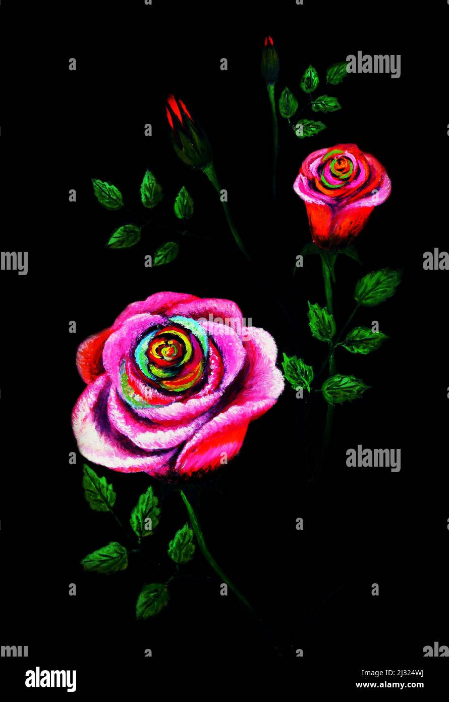 Oil painting on canvas of pink roses in various stages of bloom on black background Stock Photo