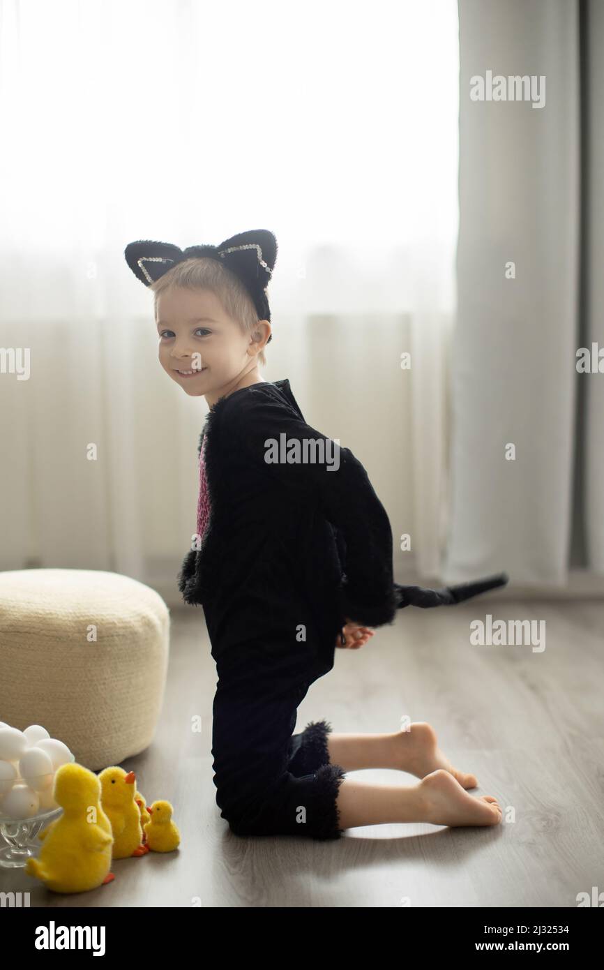 Cute preschool child in cat carnival costume, boy dressed as a black ...