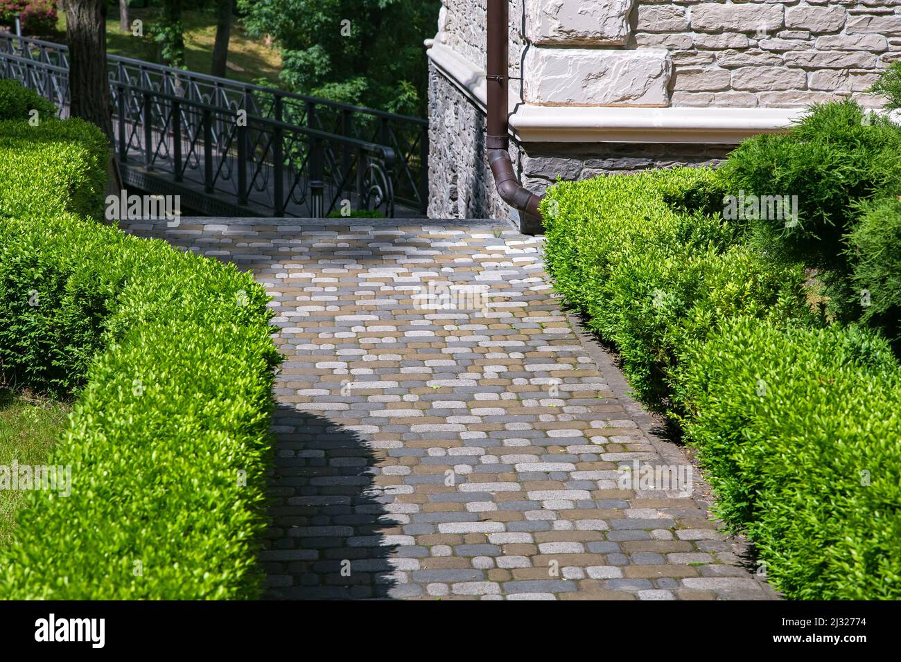 a stone tile path paved in the backyard with green clipped boxwood bushes at the corner of the facade of the house made of decorative rough stone and Stock Photo