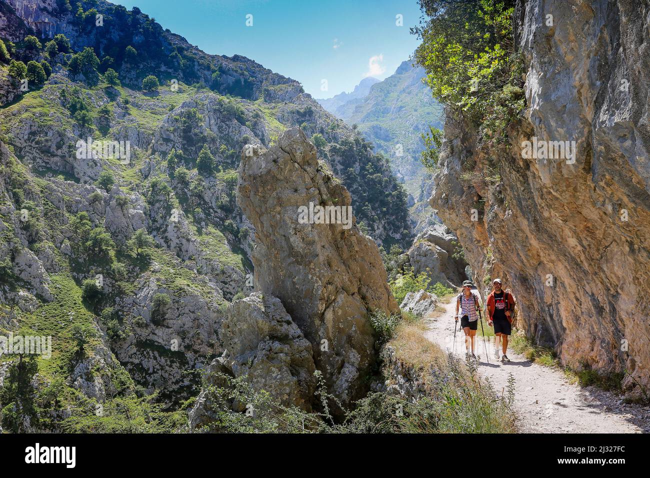 Spain, Rio Cares Gorge, limestone massif of the Picos de Europa,  Cantabrian Mountains, Cantabria Stock Photo