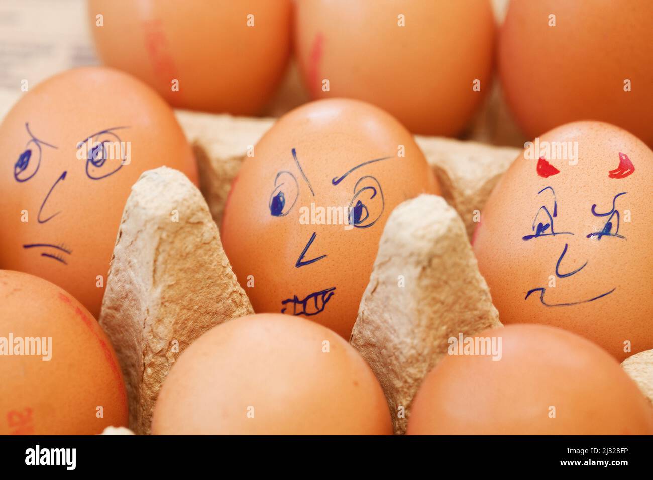 Salmonella bacteria is usually spread by eating contaminated eggs or meat. Salmonellosis is a